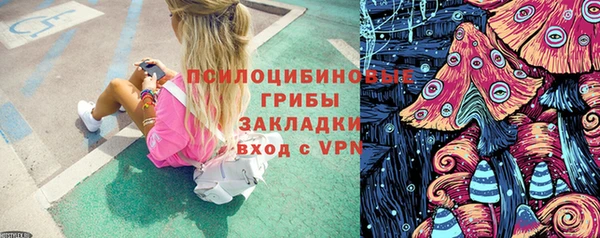 бошки Богданович