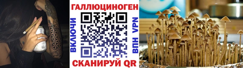 Галлюциногенные грибы GOLDEN TEACHER  Старица 